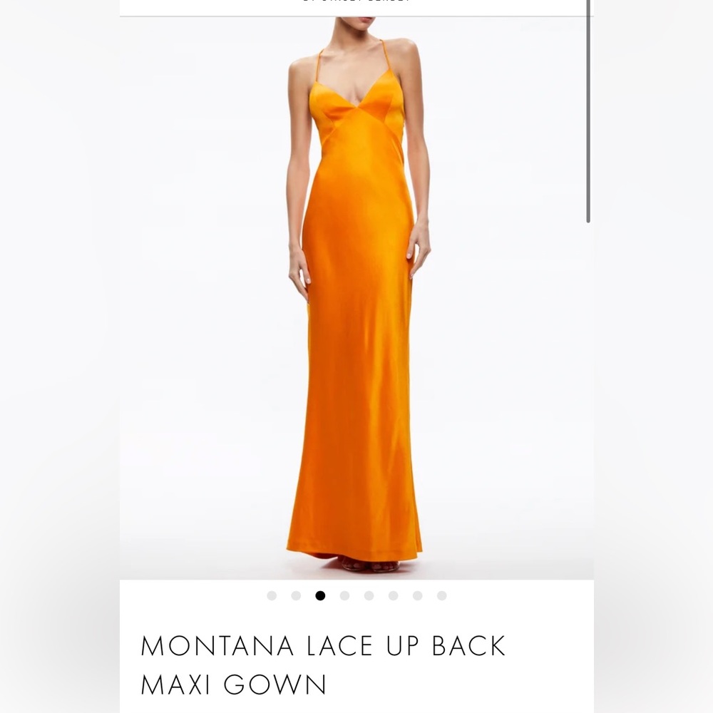 Alice + Olivia MONTANA LACE UP BACK MAXI GOWN